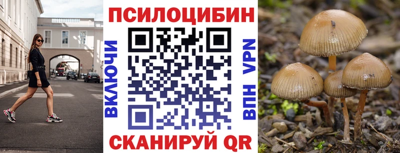 даркнет сайт  Катав-Ивановск  Галлюциногенные грибы Psilocybine cubensis 
