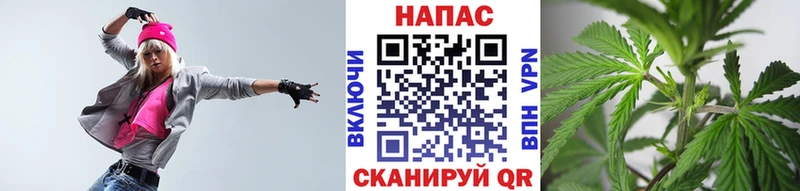 Бошки Шишки конопля  Катав-Ивановск 